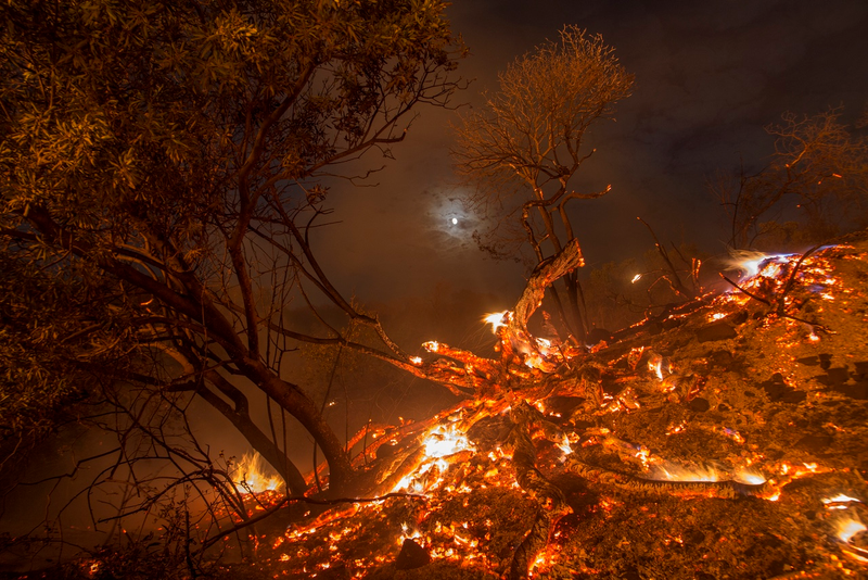 Flames spread on a moonlit night at the La Tuna Fire on September 2, 2017 near Burbank, California. (Photo by David McNew/Getty Images)